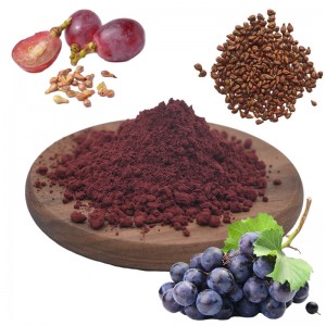 Grape Seed Extract