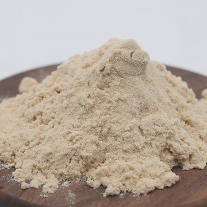 Burdock root Powder