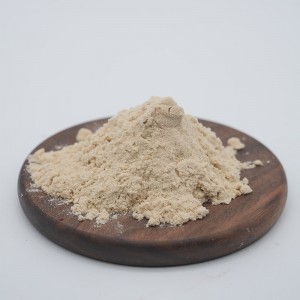 Burdock root Powder