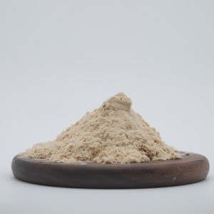 Burdock root Powder