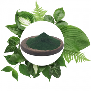 Chlorophyllin