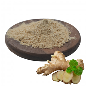 Ginger Extract