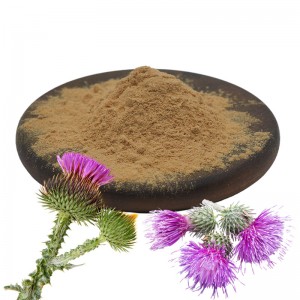 Milk Thistle Extract