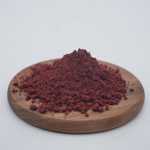 Organic Blackcurrant Powder