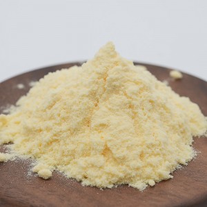 Organic Durian Juice Powder