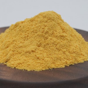 Organic Mango Juice Powder