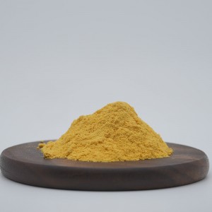 Organic Mango Juice Powder