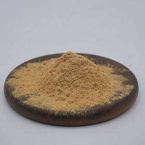 Panax Notoginseng Extract