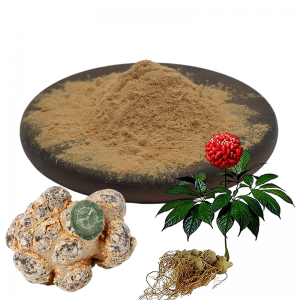 Panax Notoginseng Extract