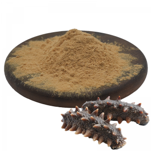 Sea Cucumber Extract