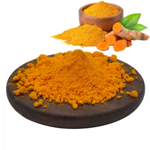 Turmeric Extract