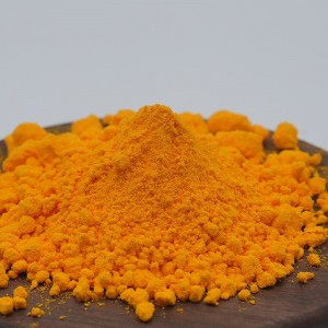 Turmeric Extract