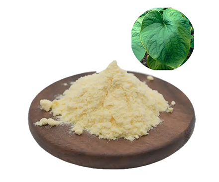 What is kava extract？