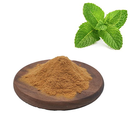 Peppermint Leaf Extract: Uses, Benefits, and Potential Side Effects