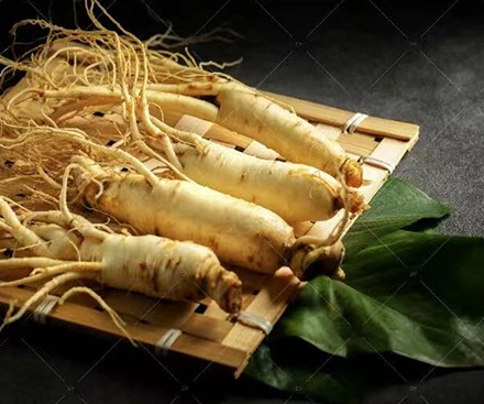 Skin Care Ingredient – Ginseng Extract (A Rare Beauty Product)