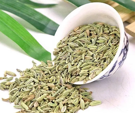 ‘Amazing Uses’ of Fennel Seed Extract