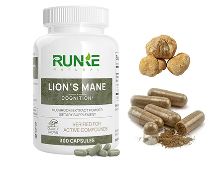 Health Benefits of Lion’s Mane Mushroom Powder
