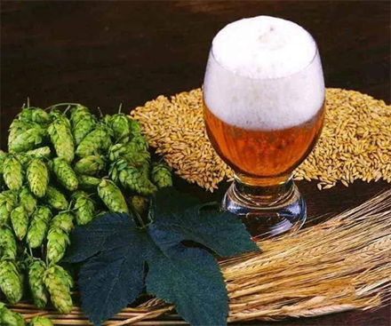 Hops Extract Main functions: emotional support, bone and joint health