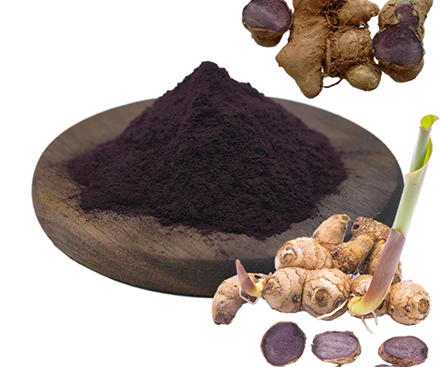 Ingredients of black ginger extract