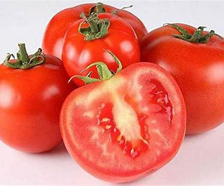 The main functions and application areas of lycopene